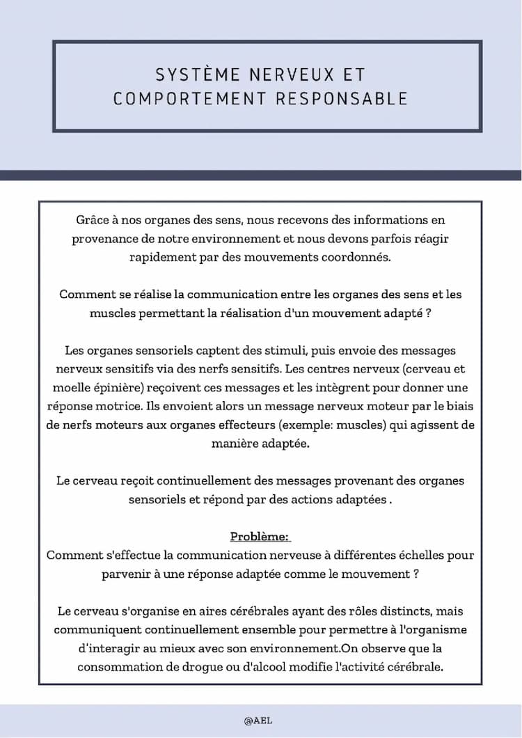 Know Système Nerveux et Comportement Responsable  thumbnail
