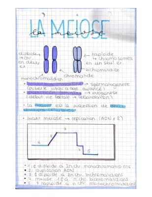 Know La méiose  thumbnail