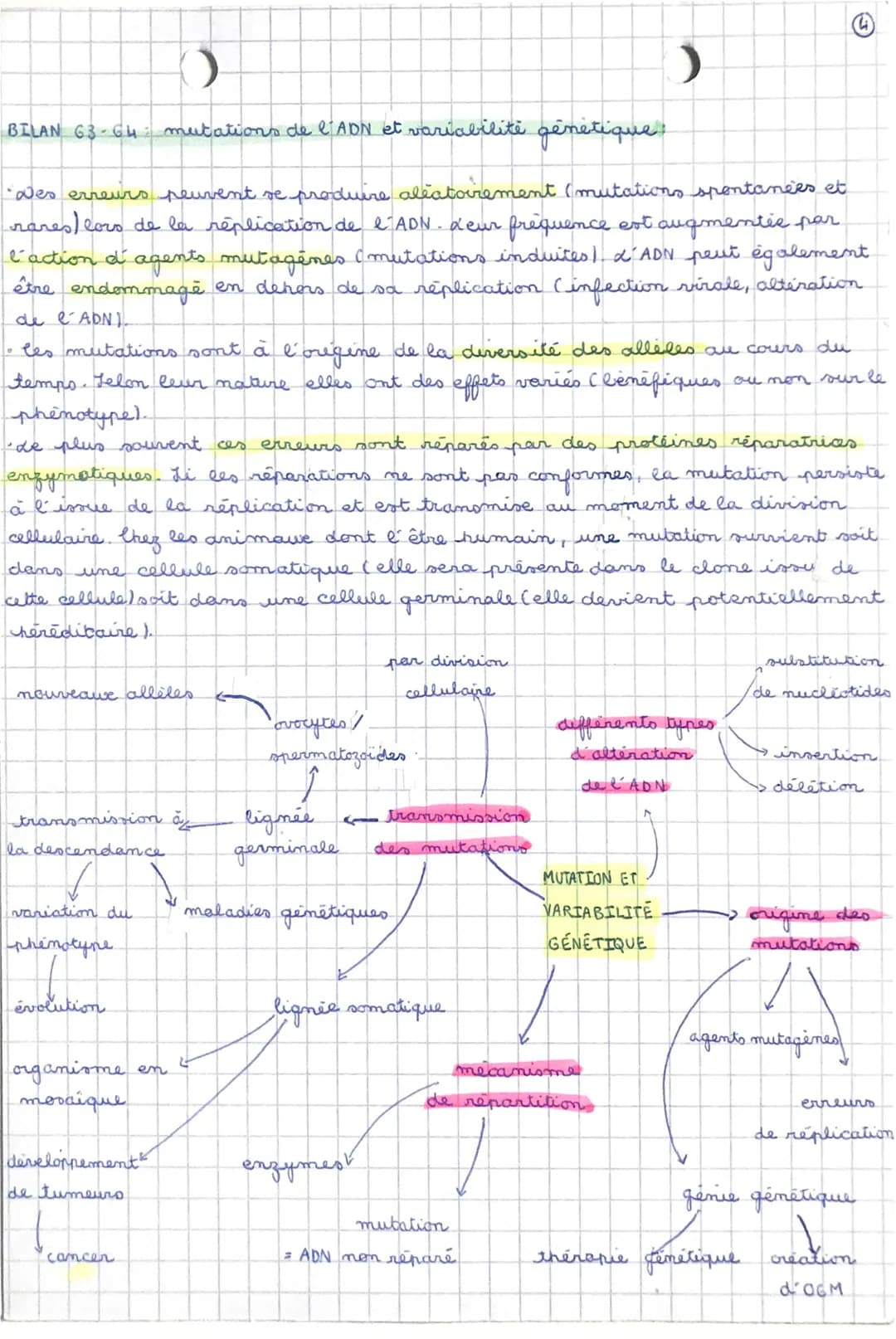 O
)
BILAN 63-64 mutations de l'ADN et variabilité génétique :
"Des erreurs peuvent se produire aleatoirement (mutations spontanées et
rares 