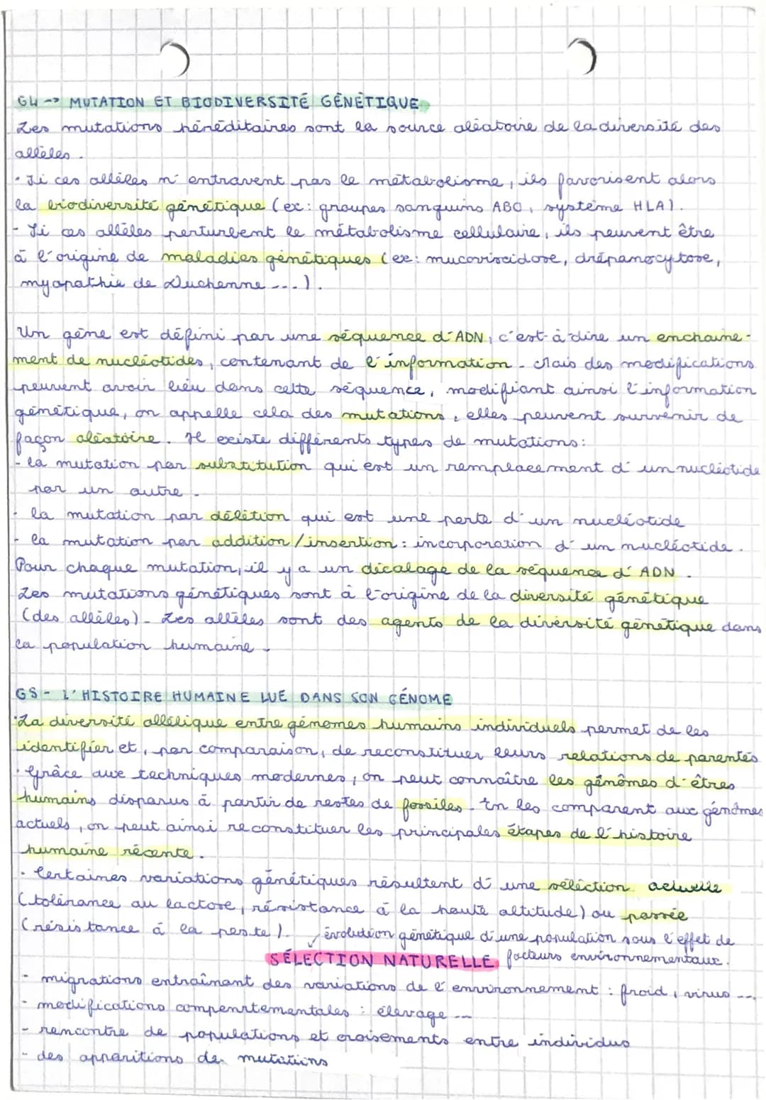 O
)
BILAN 63-64 mutations de l'ADN et variabilité génétique :
"Des erreurs peuvent se produire aleatoirement (mutations spontanées et
rares 