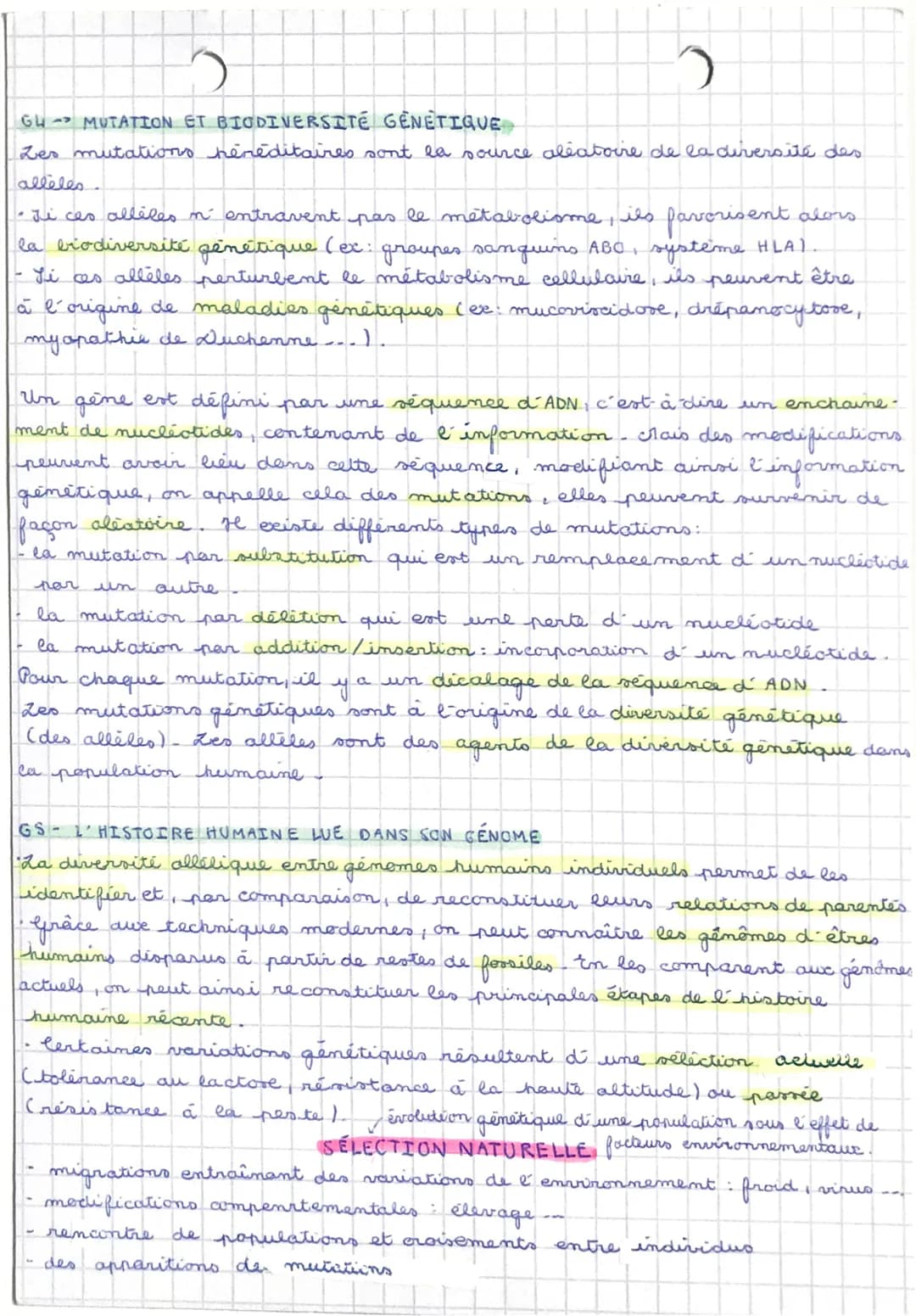 O
)
BILAN 63-64 mutations de l'ADN et variabilité génétique :
"Des erreurs peuvent se produire aleatoirement (mutations spontanées et
rares 