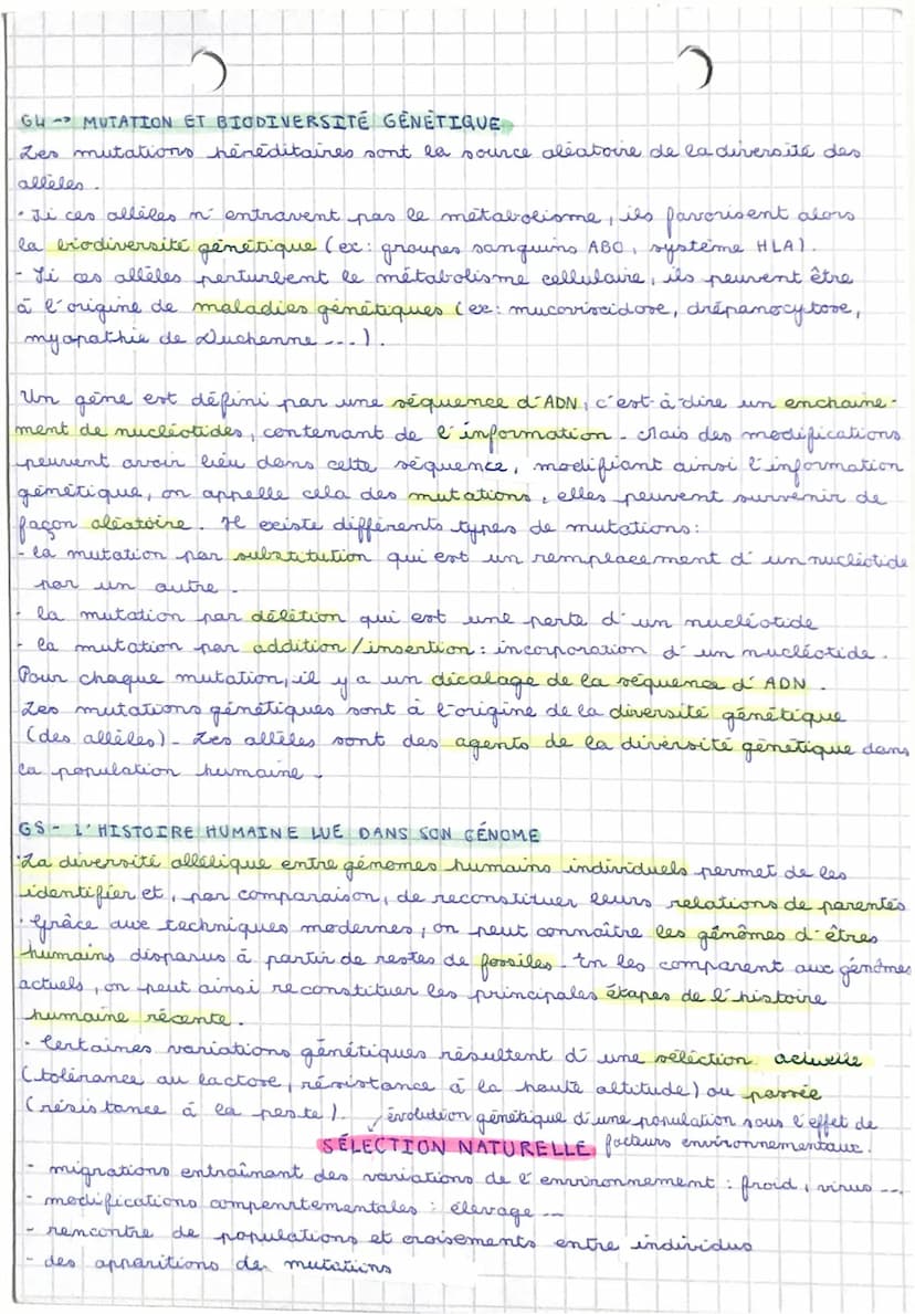 O
)
BILAN 63-64 mutations de l'ADN et variabilité génétique :
"Des erreurs peuvent se produire aleatoirement (mutations spontanées et
rares 