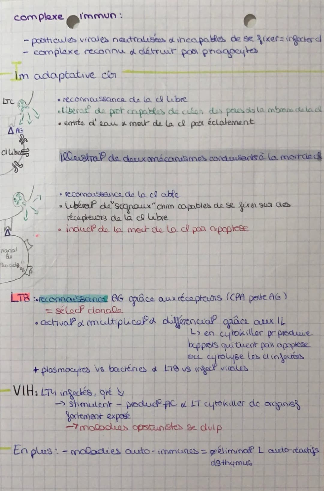 Spé SVT: I'm adaptative
chapitre
Mise en évidence d'une réact im adaptative
Anticorps: mp spécifiq à un AG
:
fabrique par les LB
Antigene fr
