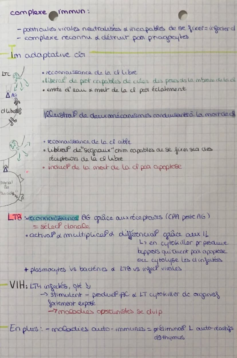 Spé SVT: I'm adaptative
chapitre
Mise en évidence d'une réact im adaptative
Anticorps: mp spécifiq à un AG
:
fabrique par les LB
Antigene fr