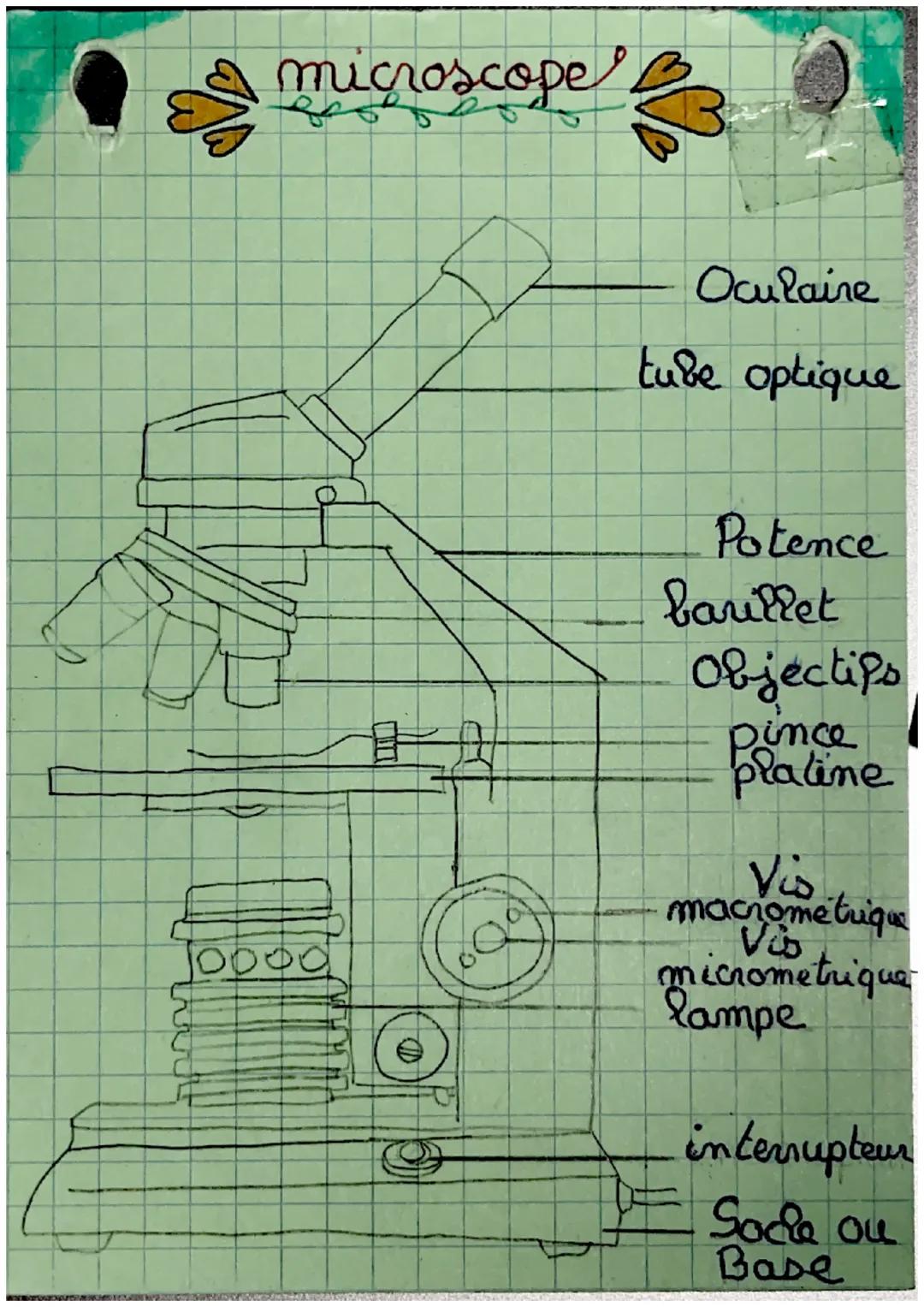 microscope

0000

Oculaire

tube optique

Potence
barillet
Objectifs
I
Plarine

Vis
macrométrique
Vüs
micrometrique
lampe

interrupteur

Soc