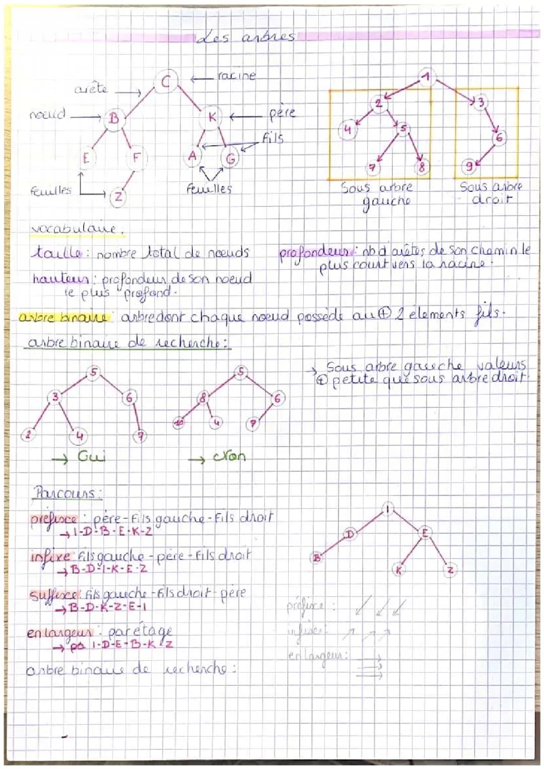 Découvrir les Arbres Binaires et Graphes en NSI