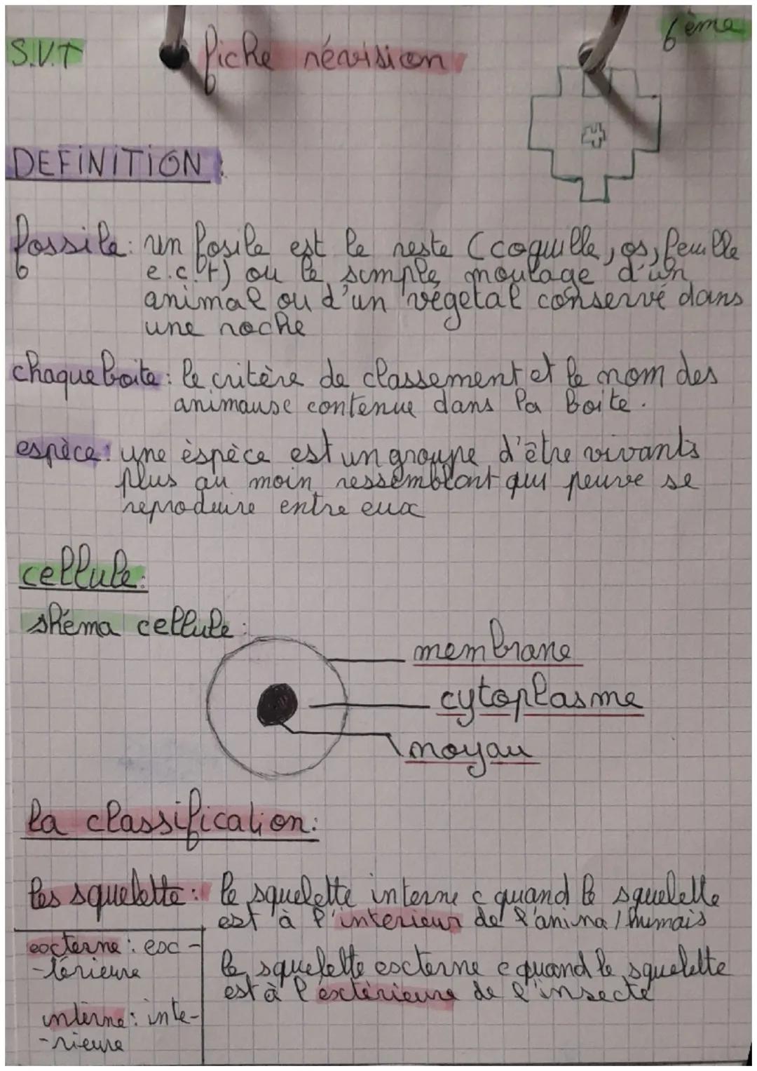 S.V.T
Piche névision.
DEFINITION
Possile: un
fosile est le reste (coquille, os, feuile
e.c°f) ou le simple moulage d'un
animal ou d'un véget