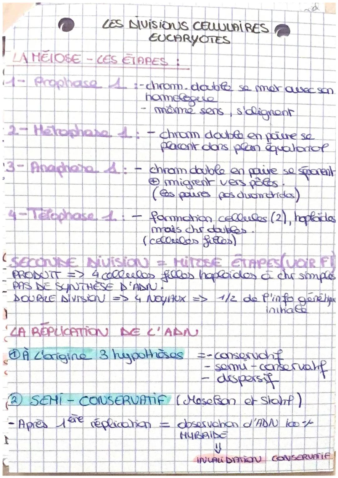 LE CYCLE CELLUCAIRE
1. Stabilite caryotype au cours des cycles de dop.
→> non sexuelle
las. chrs peuvent être regroupas par
paines de chr ho