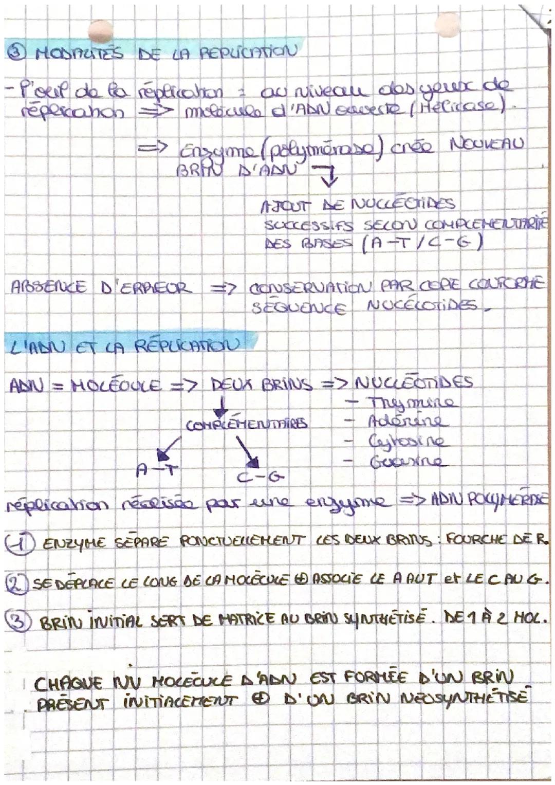 LE CYCLE CELLUCAIRE
1. Stabilite caryotype au cours des cycles de dop.
→> non sexuelle
las. chrs peuvent être regroupas par
paines de chr ho