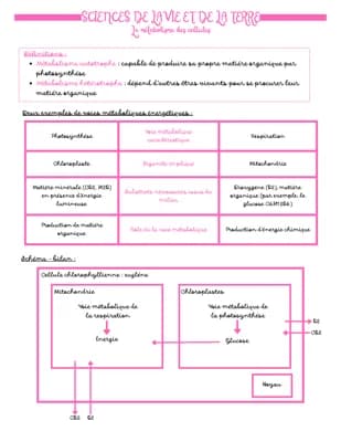 Know SVT - Le métabolisme des cellules thumbnail