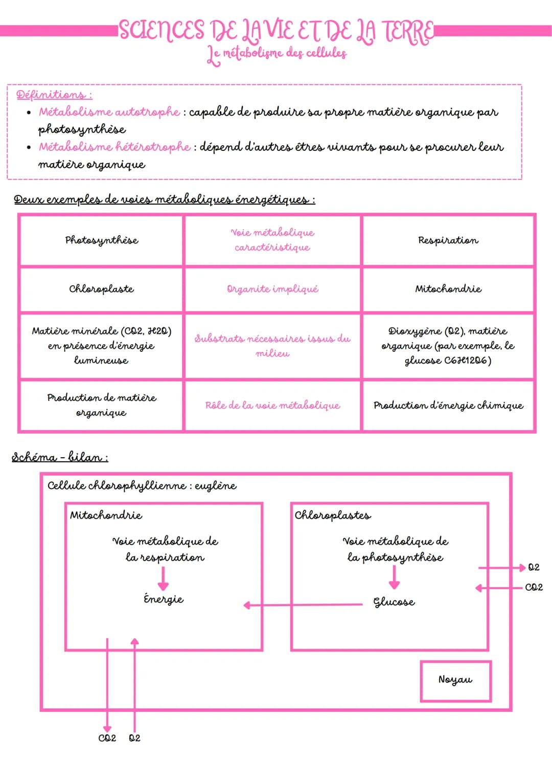 SCIENCES DE LA VIE ET DE LA TERRE
Le métabolisme des cellules
Définitions:
Métabolisme autotrophe: capable de produire sa propre matière org