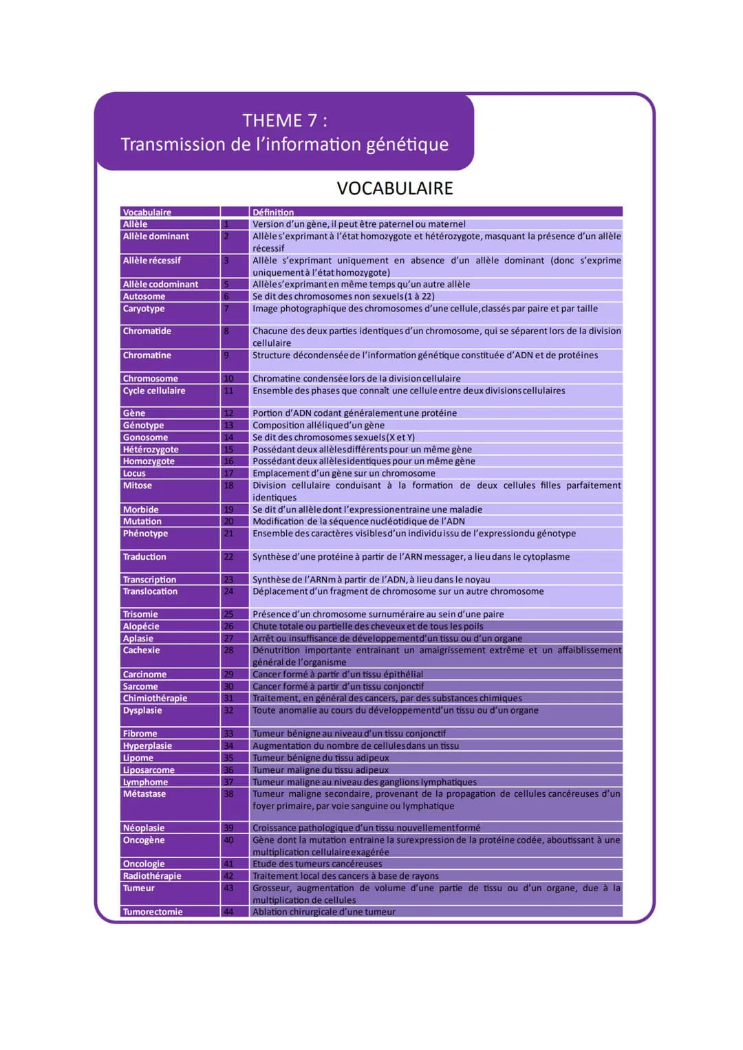 THEME 7:
Transmission de l'information génétique
VOCABULAIRE
Vocabulaire
Allèle
Allèle dominant
Allèle récessif
3
Allèle codominant
Autosome