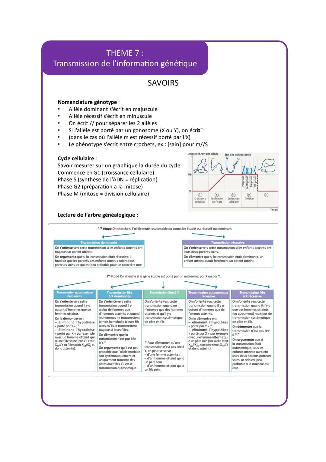 THEME 7:
Transmission de l'information génétique
VOCABULAIRE
Vocabulaire
Allèle
Allèle dominant
Allèle récessif
3
Allèle codominant
Autosome