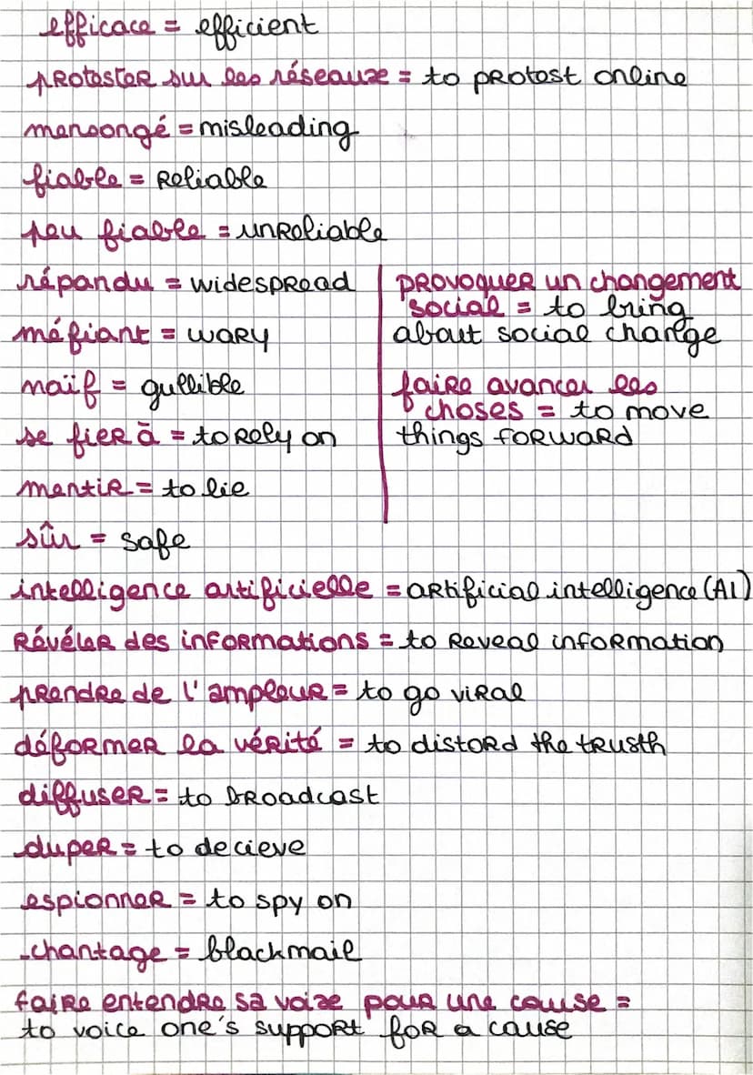 Langefang
VOCABULAIRE
un citoyen = a citizen
une activité illégale = an illegal activity
un ordinateur = a computer.
les appareils électroni