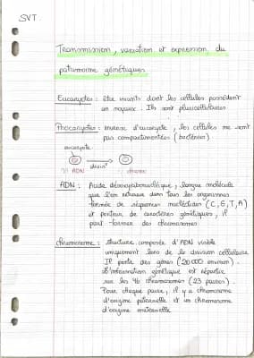 Know transmission , variation et expression du patrimoine génétique  thumbnail
