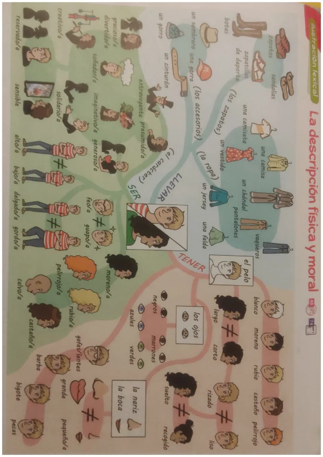 ilustración lexical
sandalias
zapatos
La descripción física y moral
una camisa
vaqueros
blanco
moreno
rubio castaño pelirrojo
el pelo
#
#
la