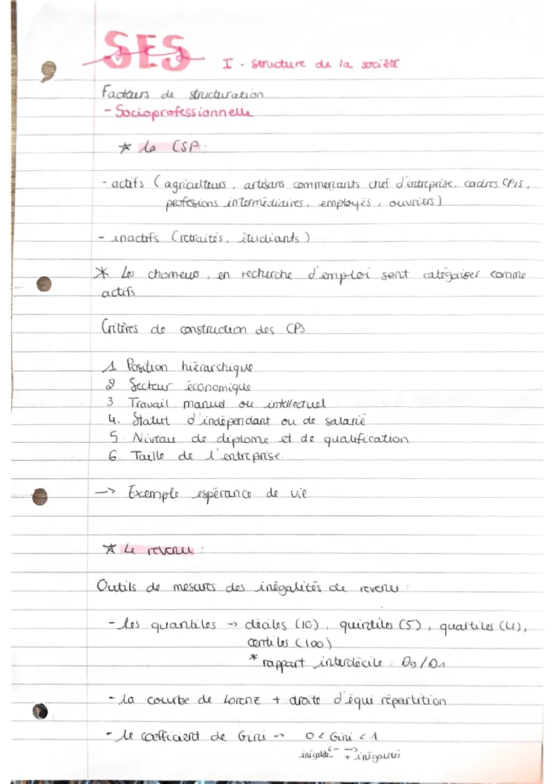 chapitre structure sociale SES