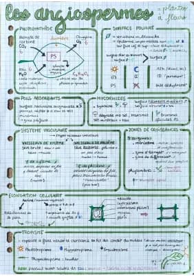 Know Spé SVT tout pour le bac écrit en 11 pages thumbnail