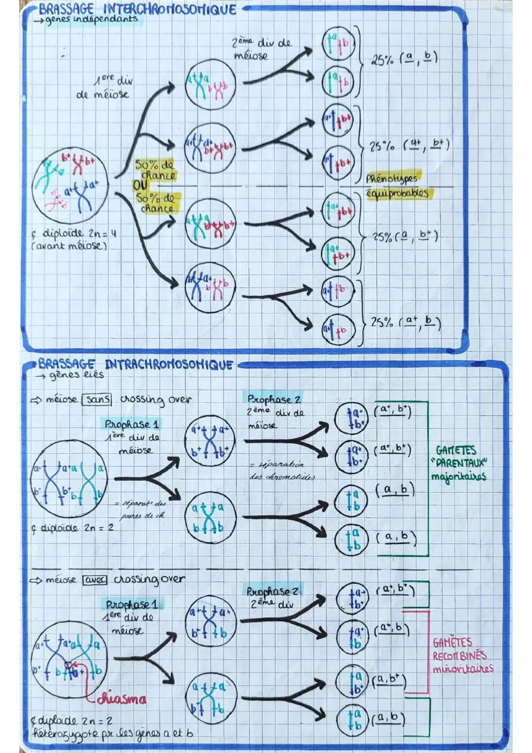 los angiospermes s
= plantes
à fleurs
dioxyde de
carbone
CO₂
6
eau 6
H₂O
+ dels minéraux:
azote phosphore,
potassium
E
lumière
PS
seve
(rapi