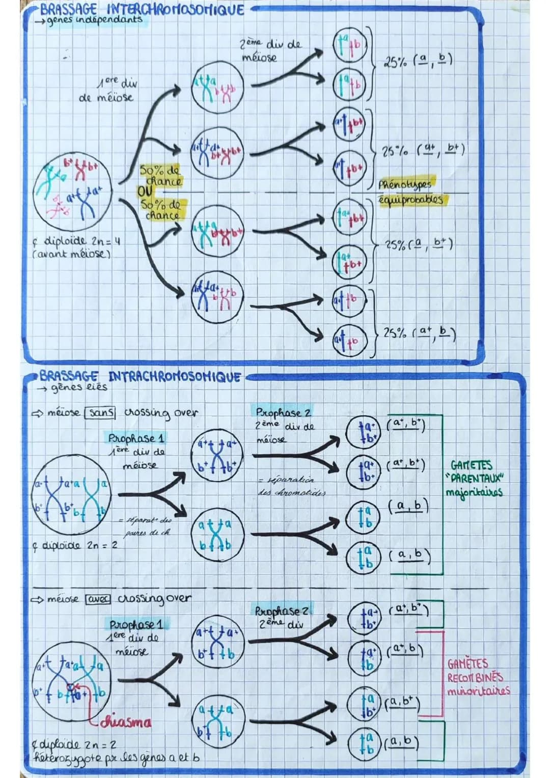 los angiospermes s
= plantes
à fleurs
dioxyde de
carbone
CO₂
6
eau 6
H₂O
+ dels minéraux:
azote phosphore,
potassium
E
lumière
PS
seve
(rapi