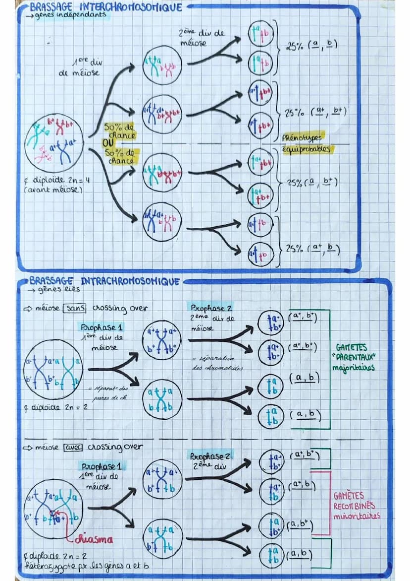 los angiospermes s
= plantes
à fleurs
dioxyde de
carbone
CO₂
6
eau 6
H₂O
+ dels minéraux:
azote phosphore,
potassium
E
lumière
PS
seve
(rapi