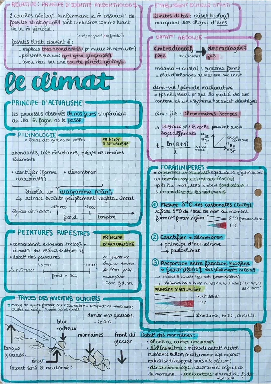 los angiospermes s
= plantes
à fleurs
dioxyde de
carbone
CO₂
6
eau 6
H₂O
+ dels minéraux:
azote phosphore,
potassium
E
lumière
PS
seve
(rapi