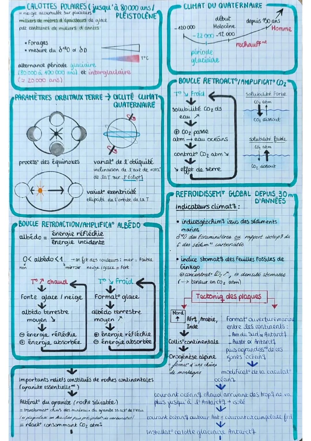 los angiospermes s
= plantes
à fleurs
dioxyde de
carbone
CO₂
6
eau 6
H₂O
+ dels minéraux:
azote phosphore,
potassium
E
lumière
PS
seve
(rapi