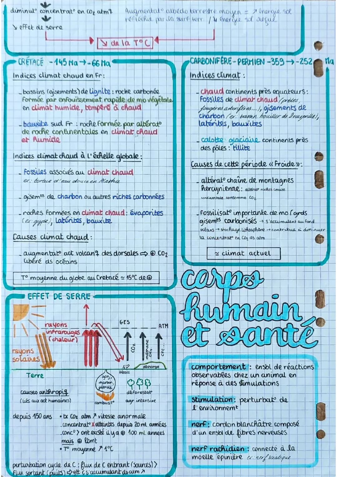 los angiospermes s
= plantes
à fleurs
dioxyde de
carbone
CO₂
6
eau 6
H₂O
+ dels minéraux:
azote phosphore,
potassium
E
lumière
PS
seve
(rapi