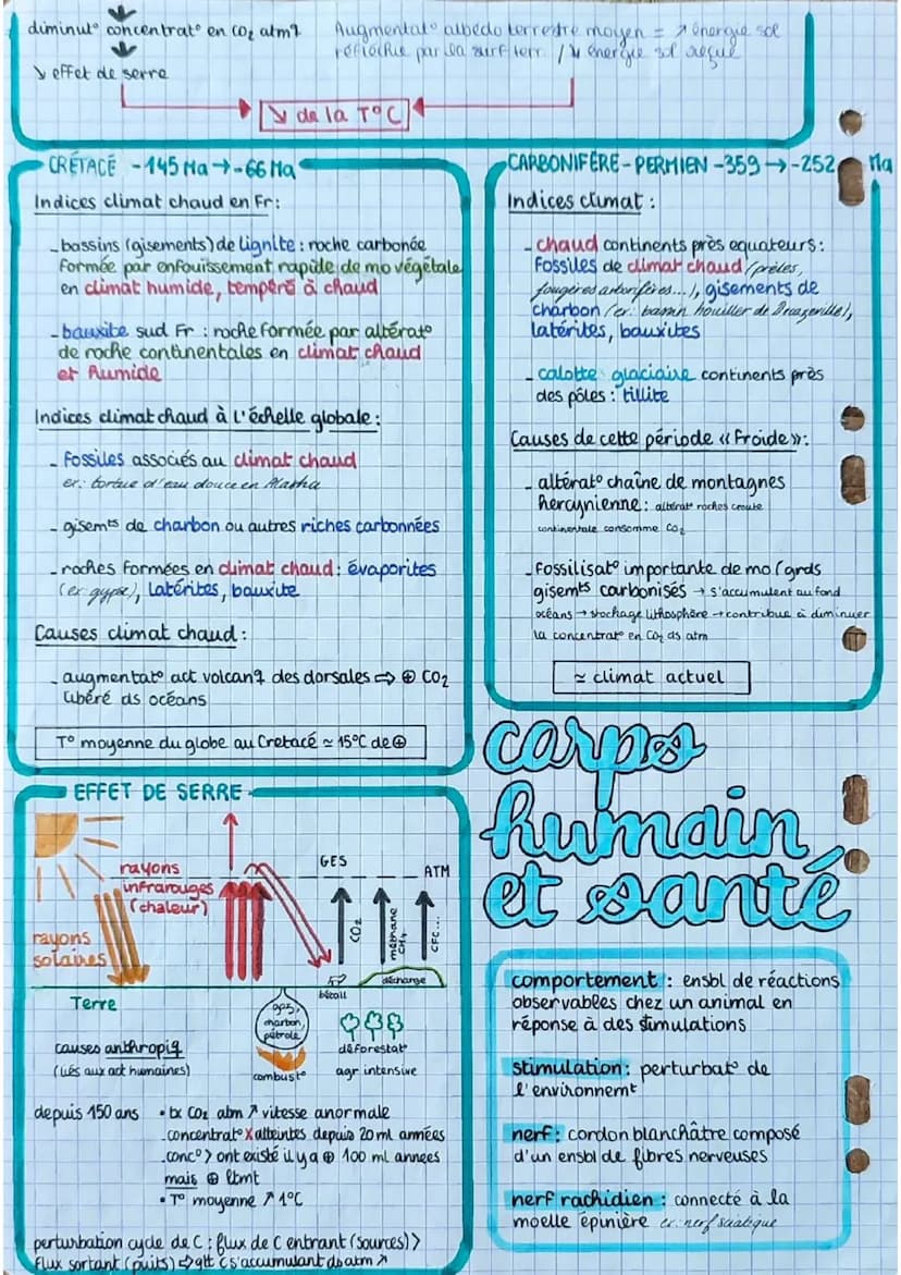 los angiospermes s
= plantes
à fleurs
dioxyde de
carbone
CO₂
6
eau 6
H₂O
+ dels minéraux:
azote phosphore,
potassium
E
lumière
PS
seve
(rapi