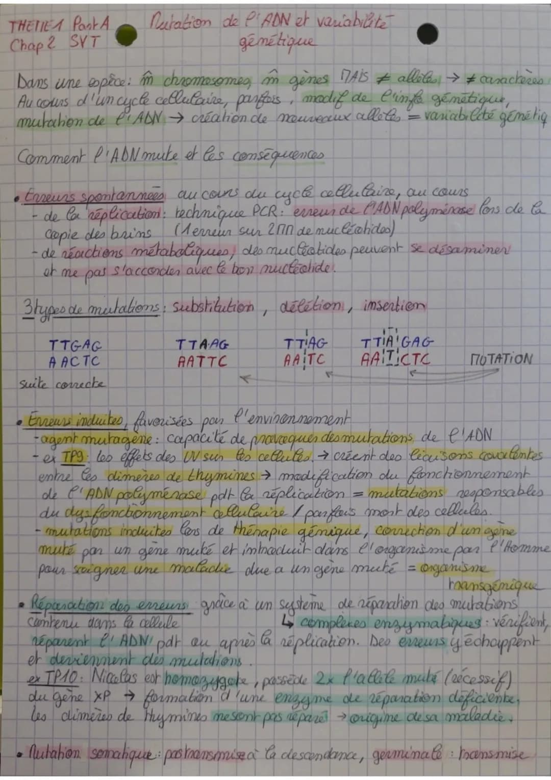 THEMIE Pook A
Chap 2 SVT
Dans une espèce: im chromosomes, in gènes MAIS # alleles → # caractères
Au cours d'un cycle cellulaire, parfers, mo