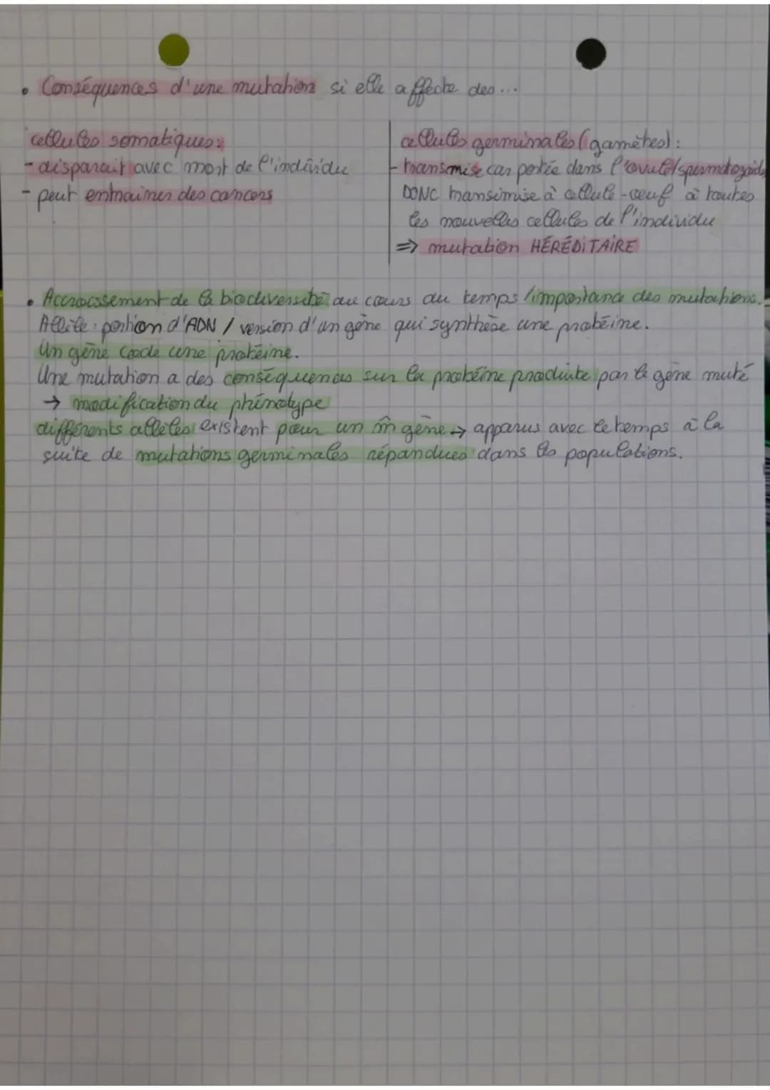 THEMIE Pook A
Chap 2 SVT
Dans une espèce: im chromosomes, in gènes MAIS # alleles → # caractères
Au cours d'un cycle cellulaire, parfers, mo
