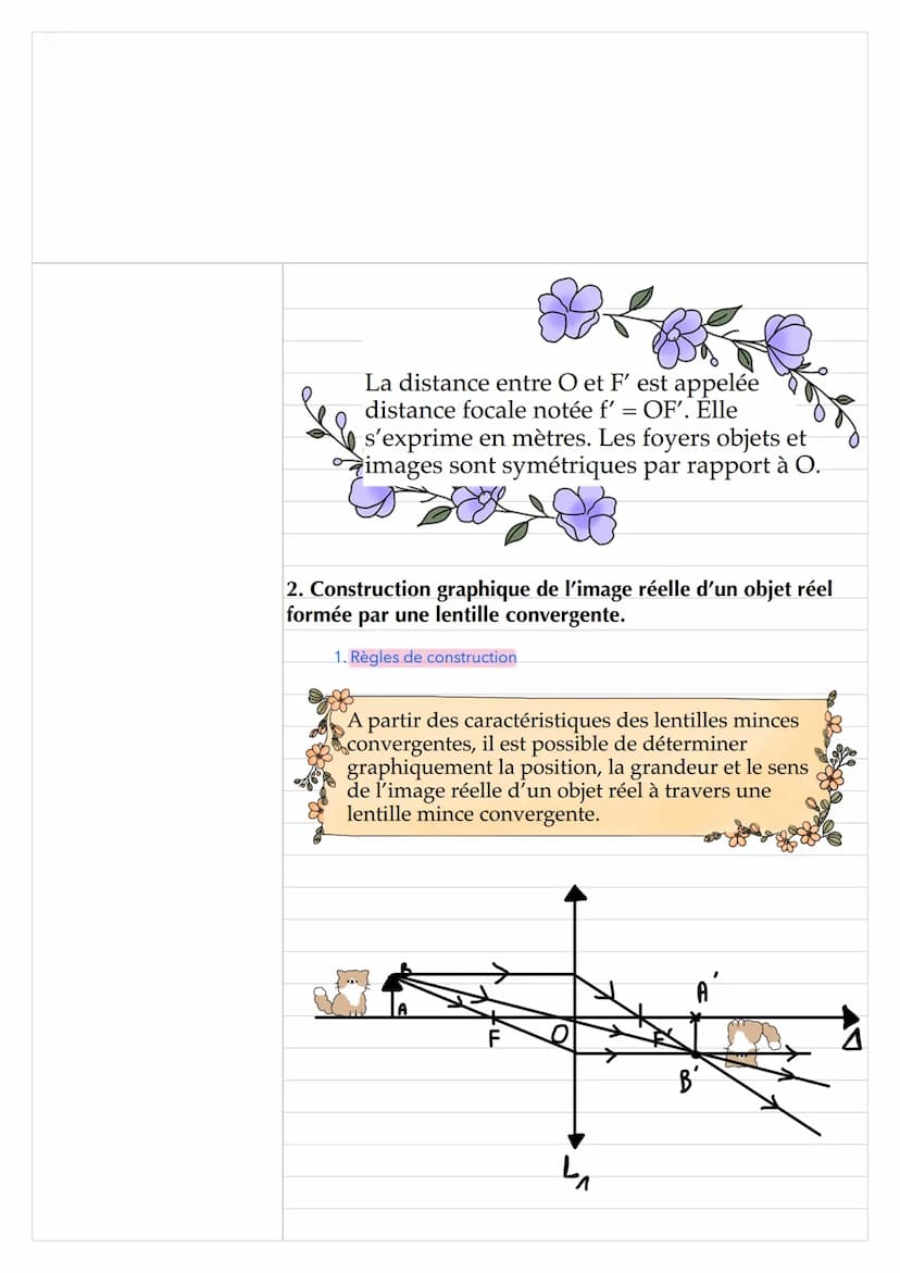 Chapitre 10: Les lentilles minces convergentes
1.Caractéristiques d'une lentille mince convergente
Les lentilles minces sont des milieux
tra