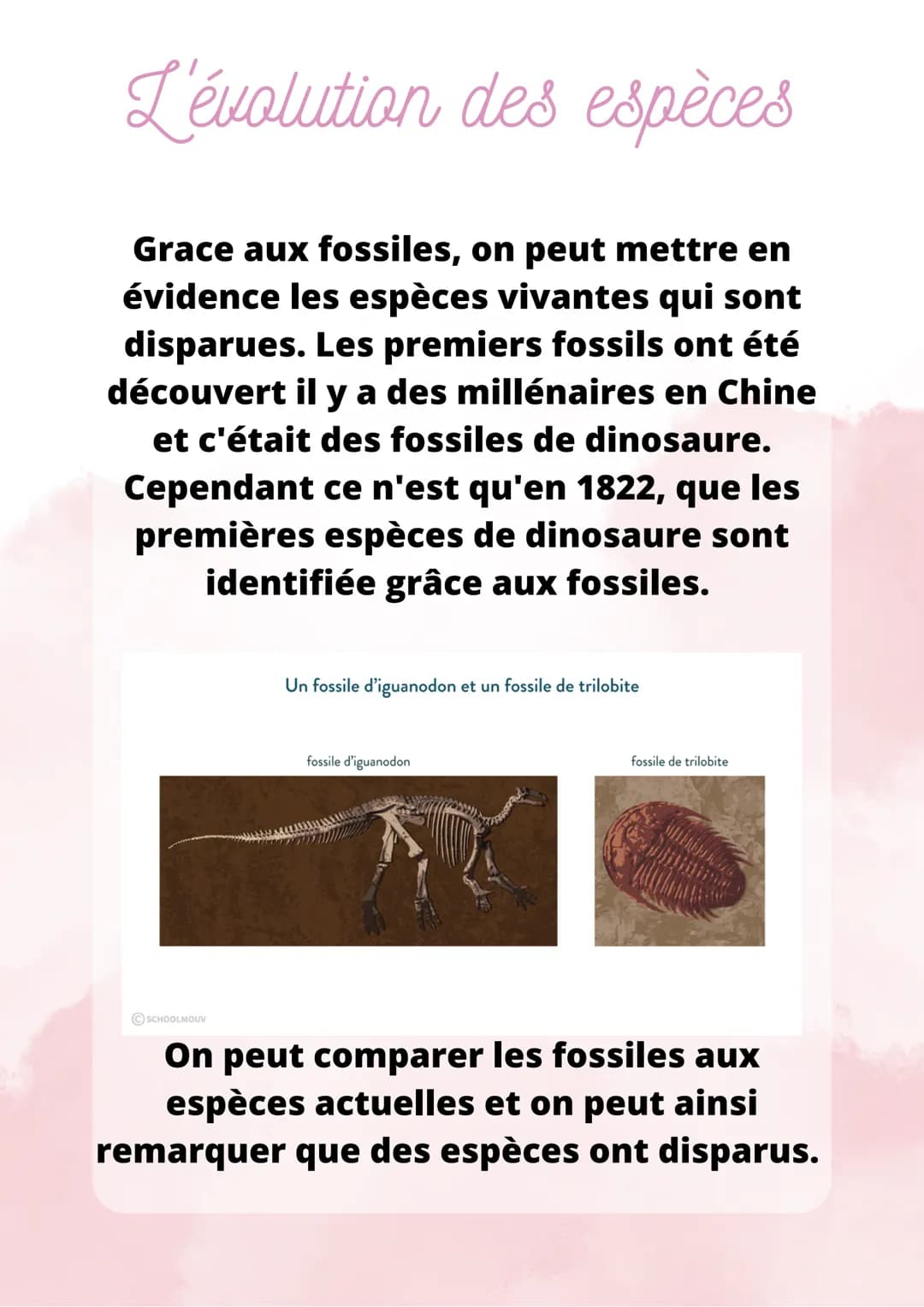 L'évolution des espèces
Grace aux fossiles, on peut mettre en
évidence les espèces vivantes qui sont
disparues. Les premiers fossils ont été