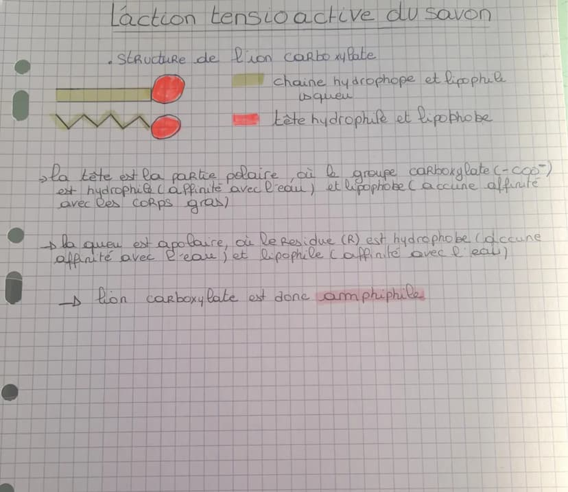 a
a
9
LIPIDES ET SANT E
Des acides gras aux triglycérides
Les acides gras sont des molécules qui possedent
une longue chaines carbonée non h