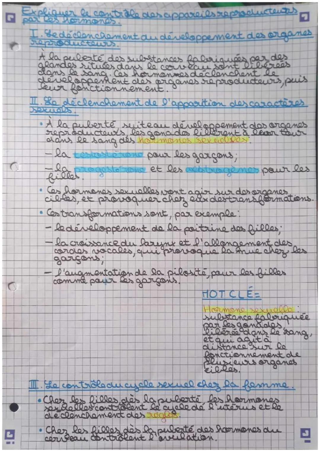 Svt 