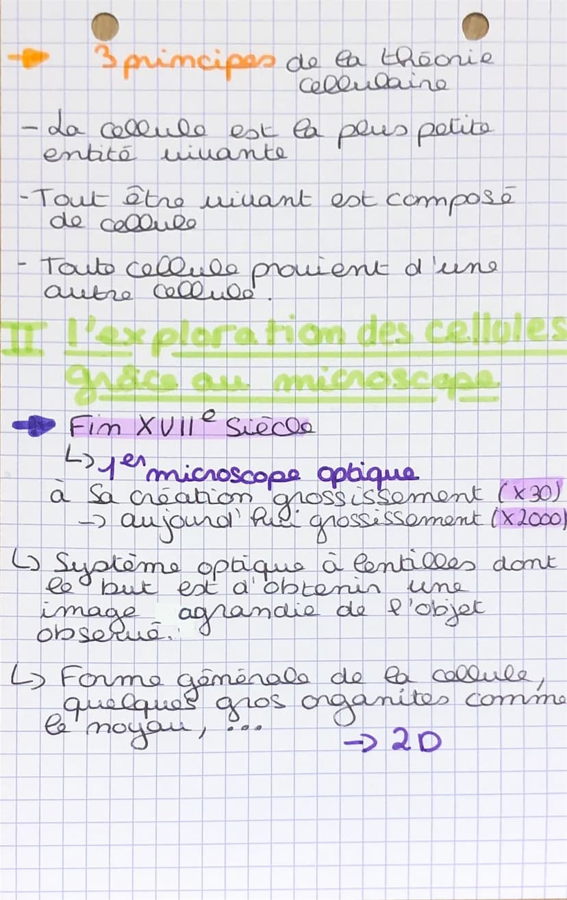 enseignement
excientifique
•
I) la théorie cellulaire
-L'élaboration de la théorie cellulaire
est le résultat de nombreuses obsen.
llations
