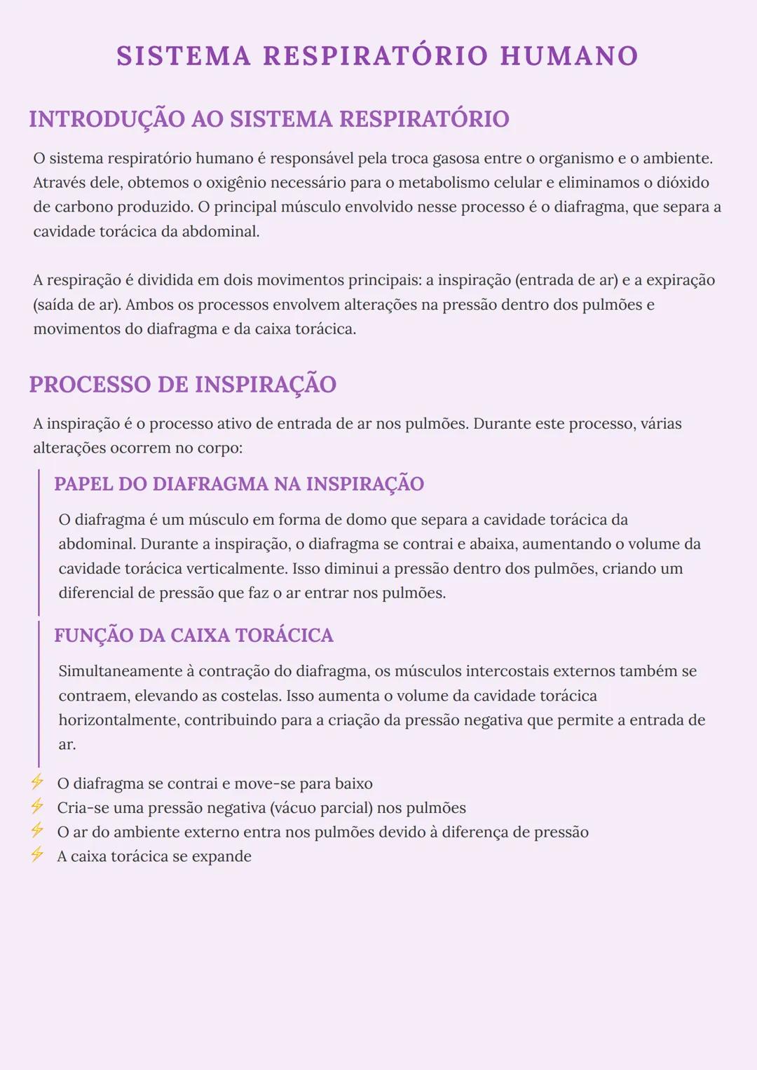 # SISTEMA RESPIRATÓRIO HUMANO

# INTRODUÇÃO AO SISTEMA RESPIRATÓRIO

O sistema respiratório humano é responsável pela troca gasosa entre o o