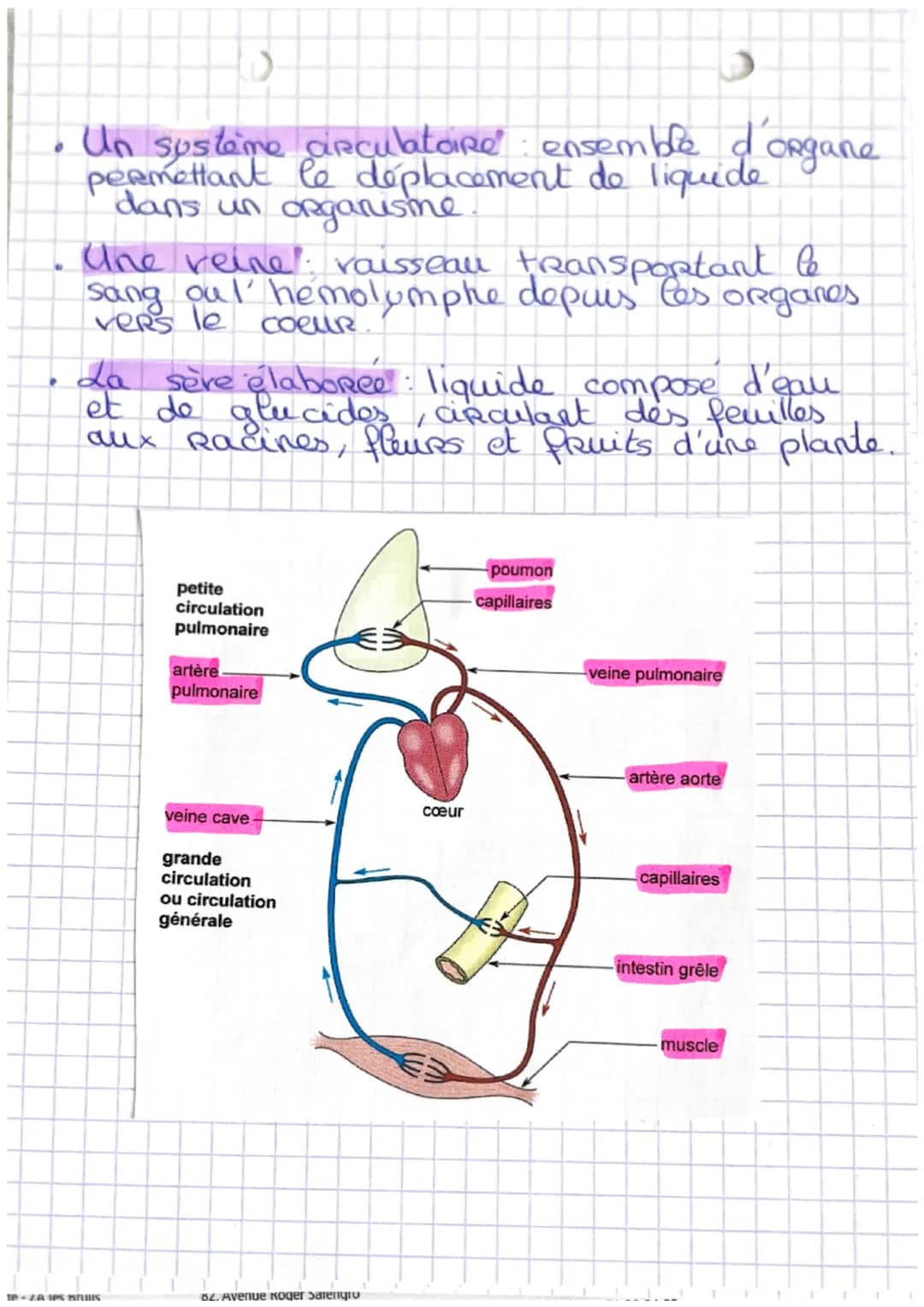 z,
1:
Ə
SVT
Chapitre 4: Systeme de transport
47
chez les animaux et les
régétaux
a
)
Mots-clés
• Une aptope vaisseau transportant le
ou l' h
