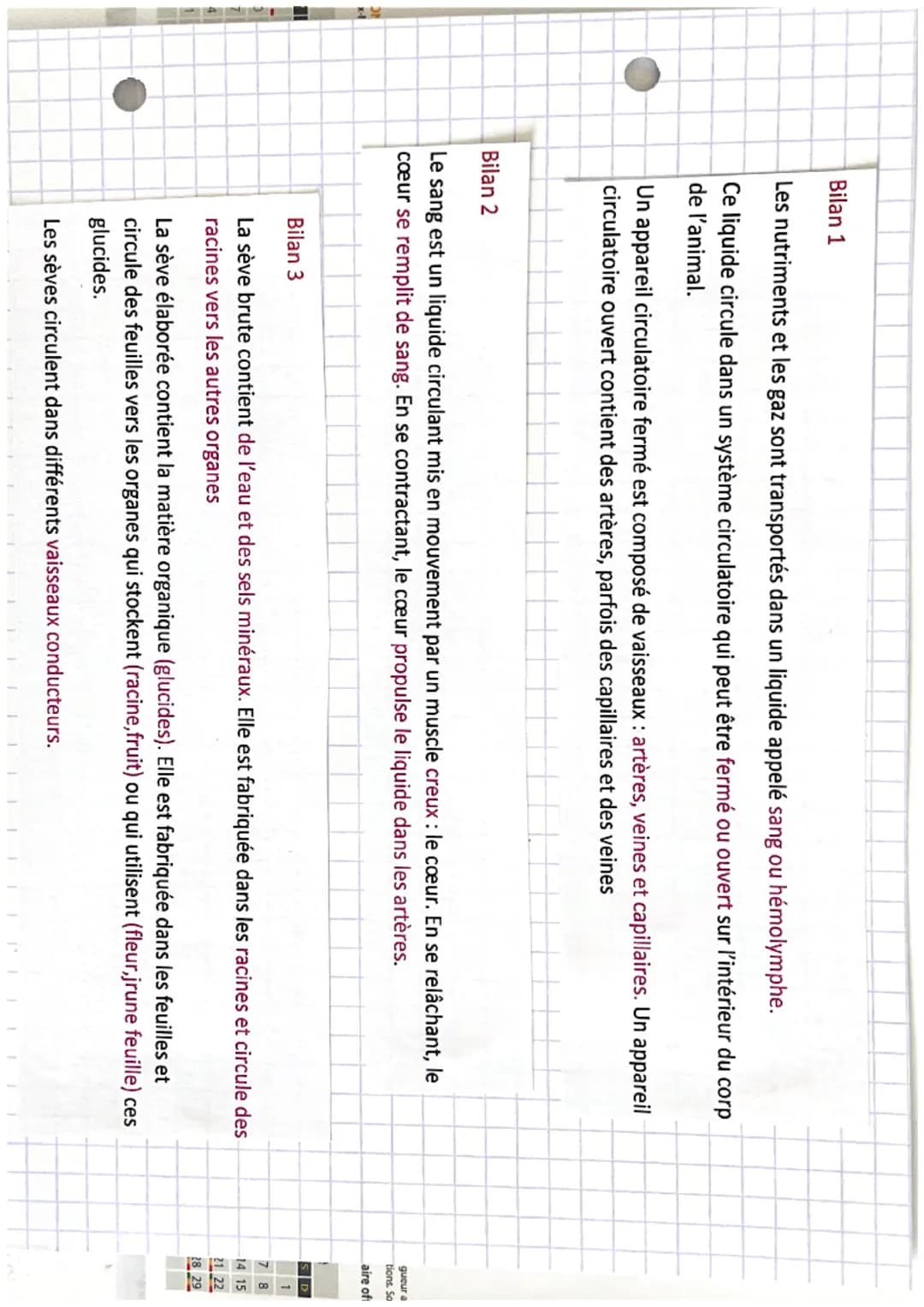 z,
1:
Ə
SVT
Chapitre 4: Systeme de transport
47
chez les animaux et les
régétaux
a
)
Mots-clés
• Une aptope vaisseau transportant le
ou l' h
