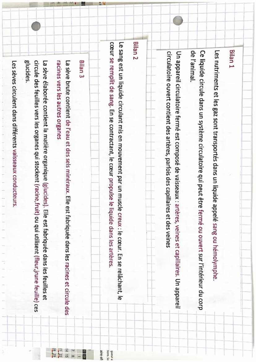 z,
1:
Ə
SVT
Chapitre 4: Systeme de transport
47
chez les animaux et les
régétaux
a
)
Mots-clés
• Une aptope vaisseau transportant le
ou l' h