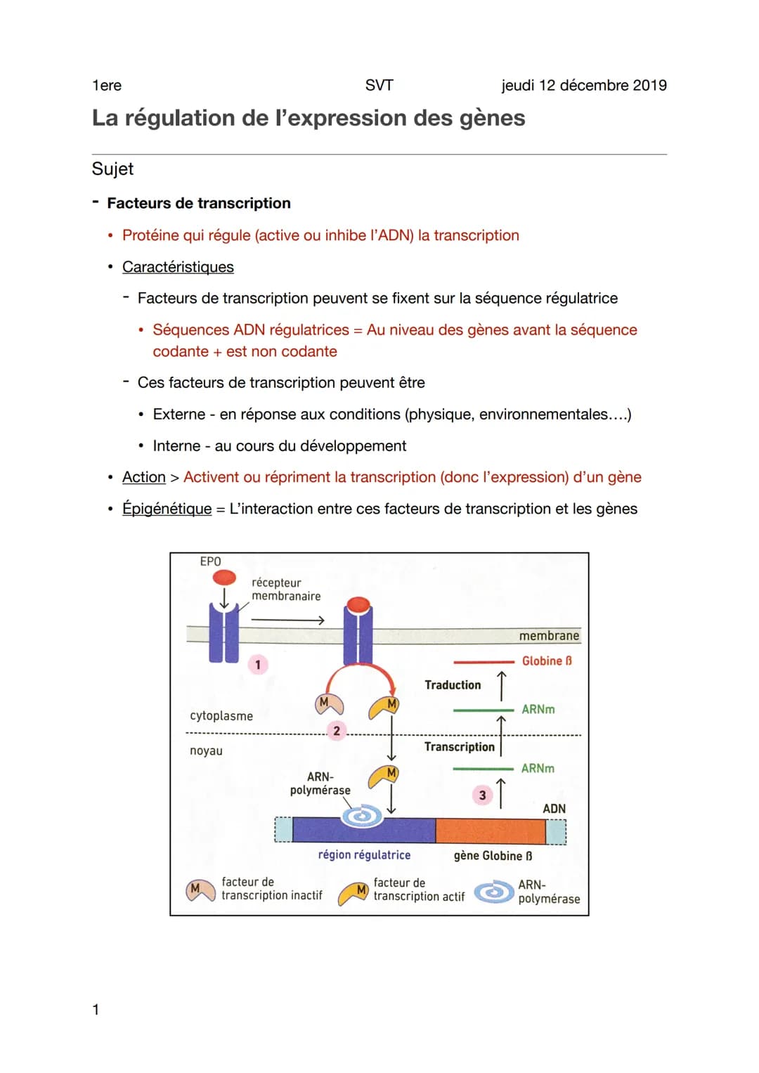 1ere
La régulation de l'expression des gènes
1
Sujet
Facteurs de transcription
• Protéine qui régule (active ou inhibe l'ADN) la transcripti