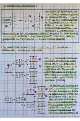 Know Mutations de l’ADN et variabilité génétique thumbnail