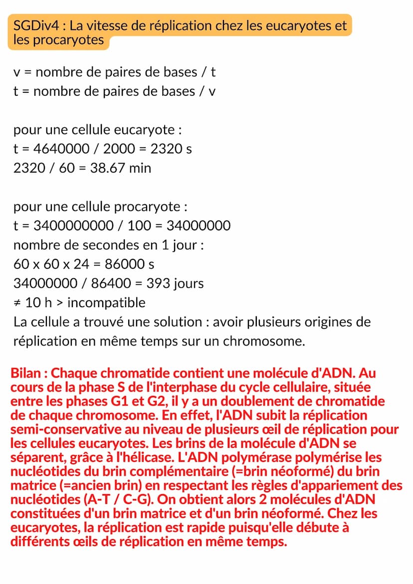 CELLULE ET GENETIQUE
Intro : chez l'Homme, le noyau de toutes les cellules eucaryotes
somatiques contient la même information génétique (46 