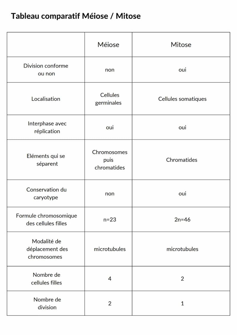 CELLULE ET GENETIQUE
Intro : chez l'Homme, le noyau de toutes les cellules eucaryotes
somatiques contient la même information génétique (46 