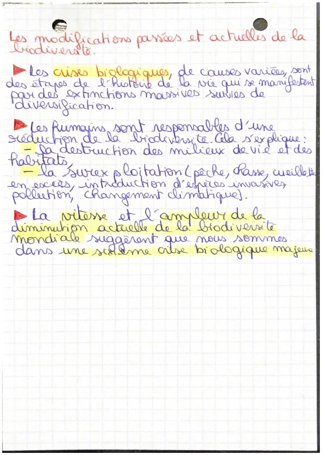 Biodiversité actuelle, •
Biodiversite passée
Les trois niveaux de la biodiversité
La biodiversité est la diversité due vivant.
En utilisant 