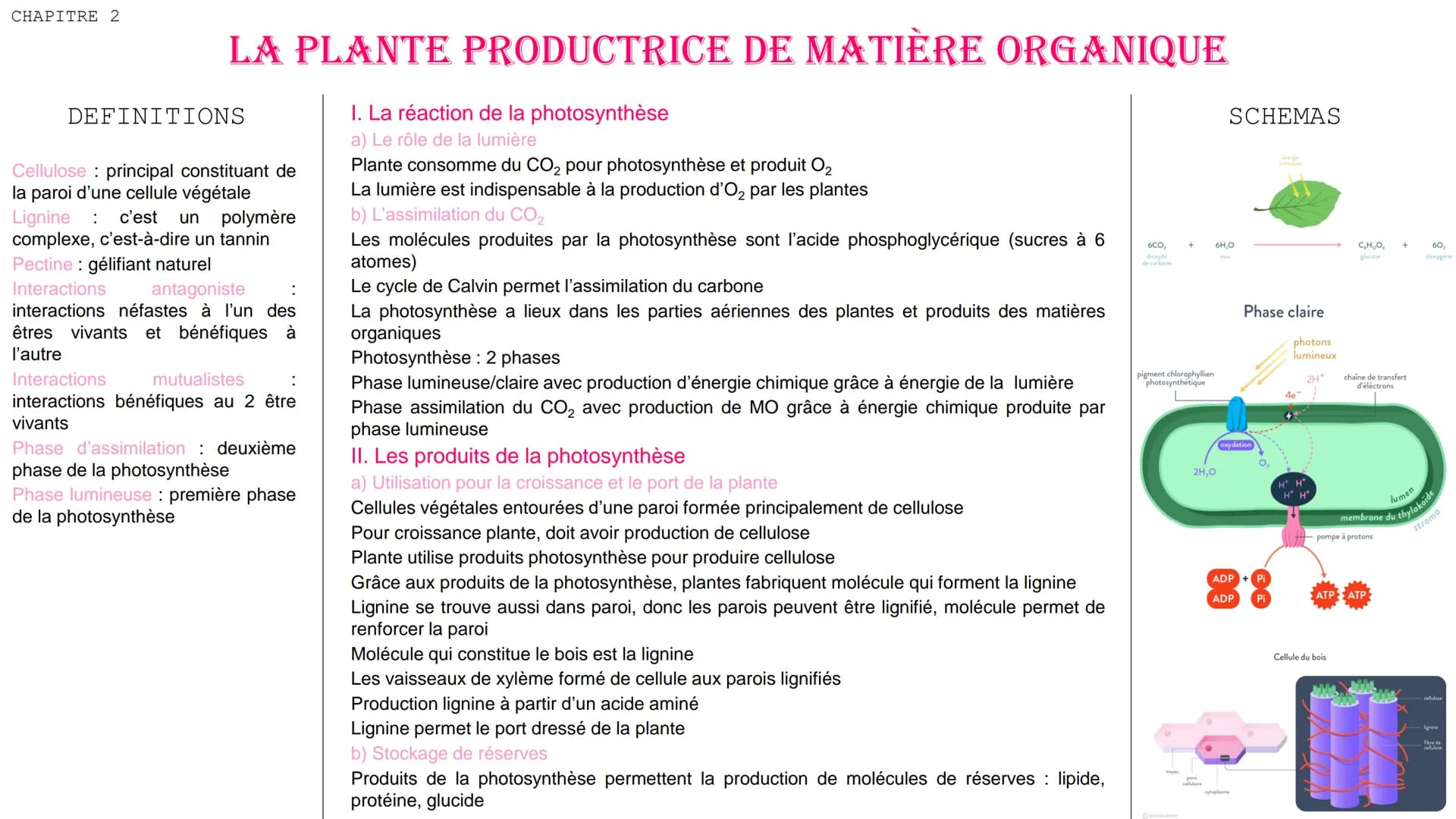 CHAPITRE 2
LA PLANTE PRODUCTRICE DE MATIÈRE ORGANIQUE
I. La réaction de la photosynthèse
a) Le rôle de la lumière
Plante consomme du CO₂ pou