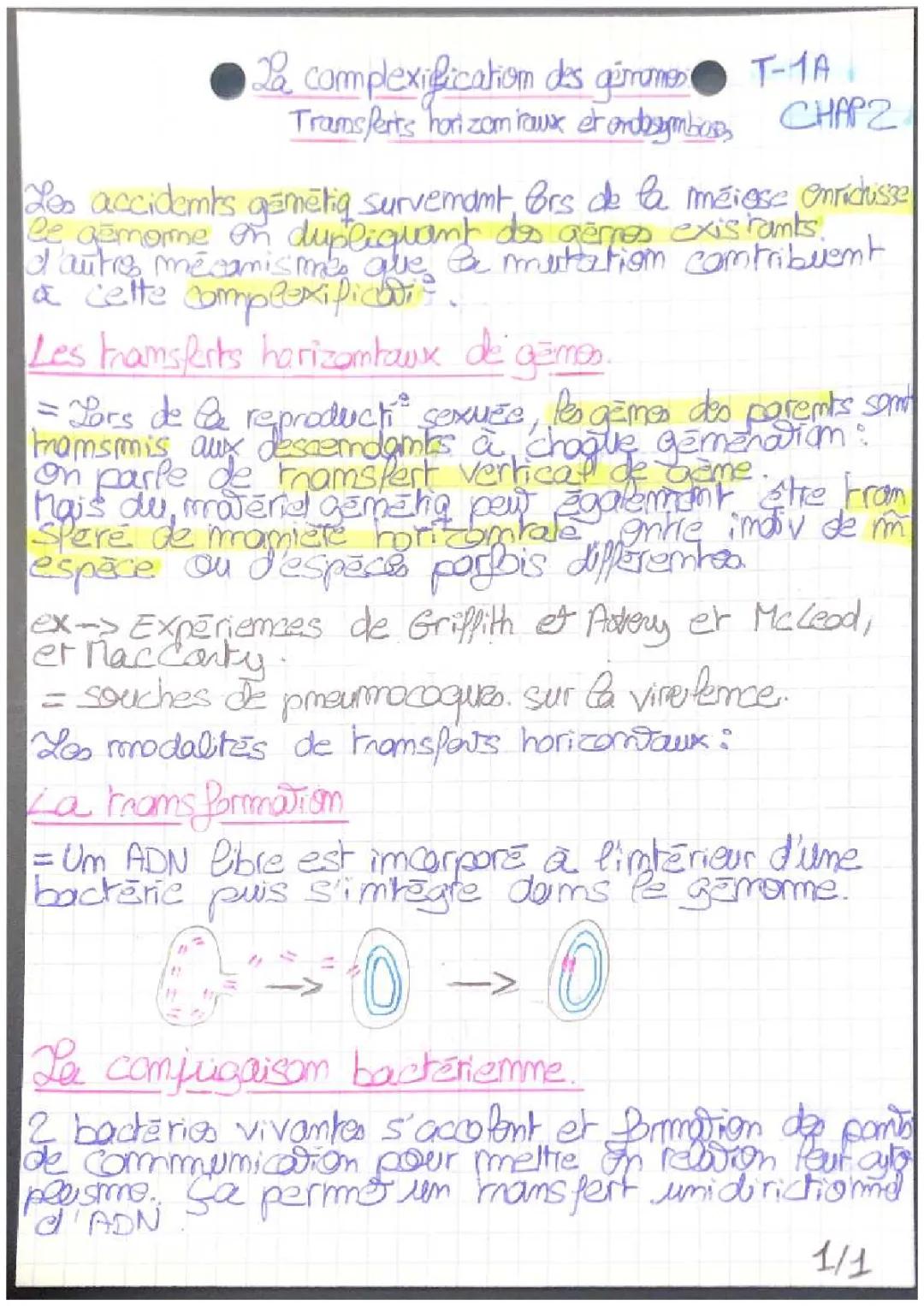 la complexification des génomes : transferts horizontaux et endosymbioses