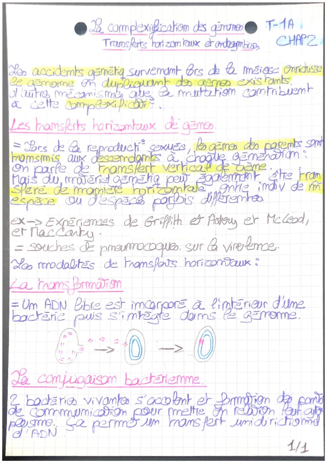 Les accidents gamētiq survemant, bors de la mérase enrichisse
le gemome on dupliquant des gères existants.
d'autres mécanismes que a mutatio