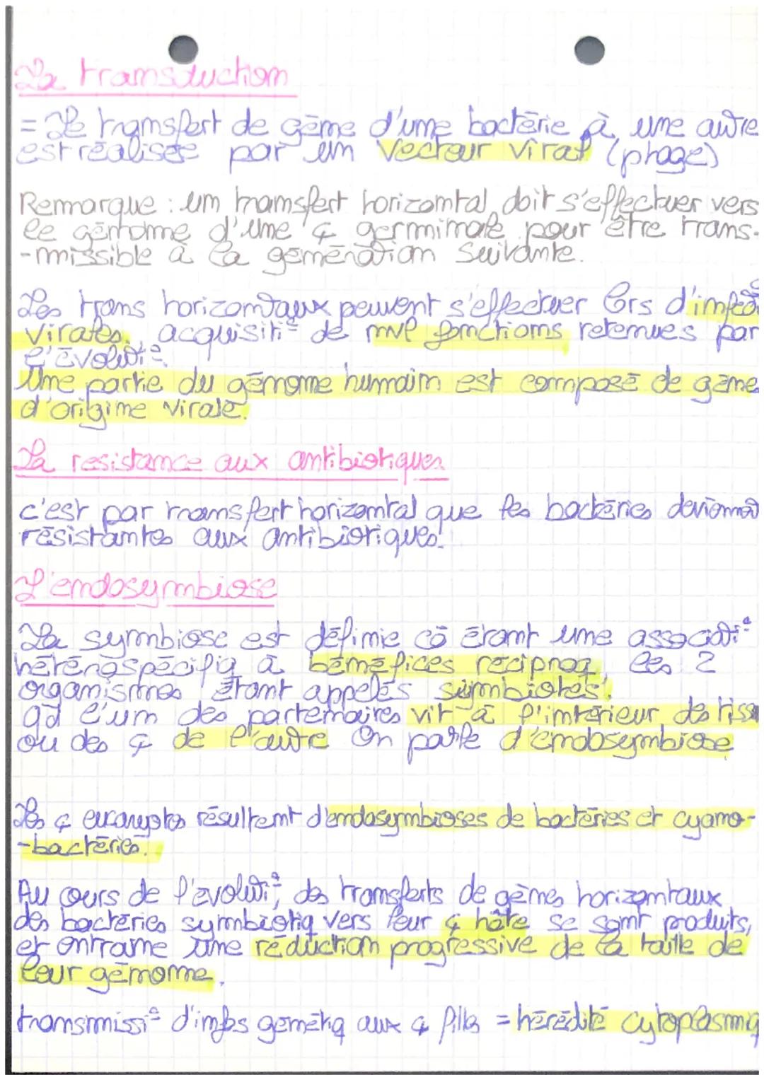 Les accidents gamētiq survemant, bors de la mérase enrichisse
le gemome on dupliquant des gères existants.
d'autres mécanismes que a mutatio