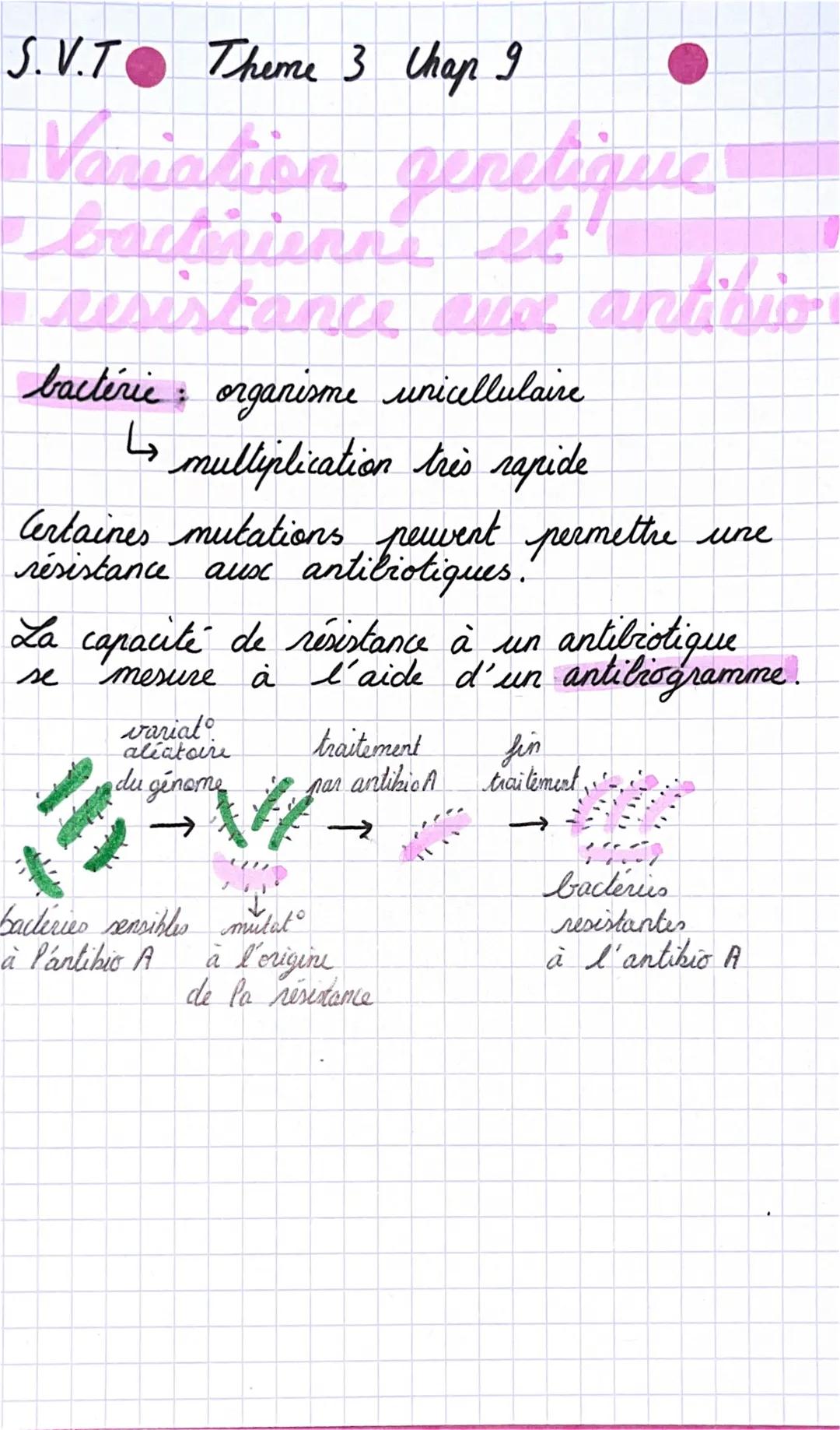 S.V.T Theme 3 chap 9
Variation genetique
et
bactérienne
resistance aux antibio
ave
bactérie : organisme unicellulaire
multiplication très ra